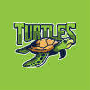 Air Fusion Turtles Logo