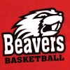 Beavers Stars Logo