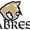 Southern Sabres Black Logo