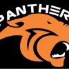 Panthers 4 Logo