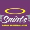 Saints 12.3 Logo