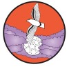 STORMBIRDS SC Logo