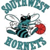Southwest Hornets Stingers Logo