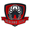 Redland City Metro Div 6 Men's South Logo