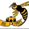 Cessnock City Comets AA/01-2022 Logo