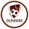 Dungog SC 06/02-2023 Logo