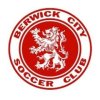 Berwick City U15 JBNPL Logo