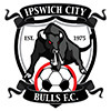 Ipswich City Bulls Logo