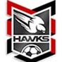 Holland Park Hawks Football Club Logo