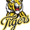 Kingborough Tigers Black U12 Logo
