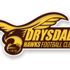 Drysdale Wilson Logo