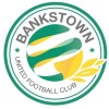 Bankstown United FC Logo