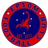 Epsom FC Logo