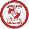 Spring Gully United SC Logo