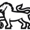South Yarra SC Logo