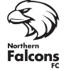 Northern Falcons SC Logo