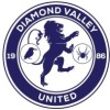 Diamond Valley United SC Logo