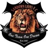 Sandown Lions FC Logo