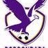 Boroondara-Carey Eagles  Logo