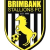 Brimbank Stallions FC Logo