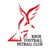 Knox Falcons Logo