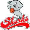 Sharks Attack Logo