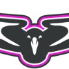 Warren-Blackwood Bombers YG10-12 Logo