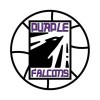 Purple Falcons Logo