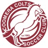 Coomera Colts Logo
