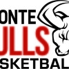 Bronte Bulls WAVES Logo