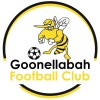 Goonellabah Logo