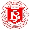South Bendigo Logo