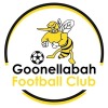 Goonellabah Whirlwinds Logo