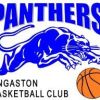 Panthers Blue U12G2 Logo