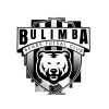 Bulimba Bears Logo