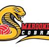 Maroondah Cobras Gold Logo