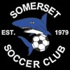 Somerset Sharks Logo