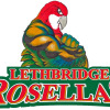 Lethbridge Rosellas Logo