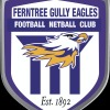 Ferntree Gully Logo