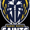 Narre South Saints Logo