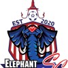Elephant Warriors Soccer Club Logo