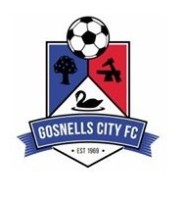 Gosnells City FC SDV2