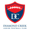 Diamond Creek Logo