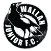 Wallan White Logo