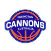 Cannons* Logo