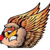 Boronia Hawks Brown Logo