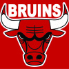 Bruins  Logo