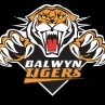 Balwyn Tigers Logo