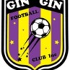 Gin Gin Football Club Logo