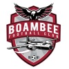 Boambee Hawks Logo